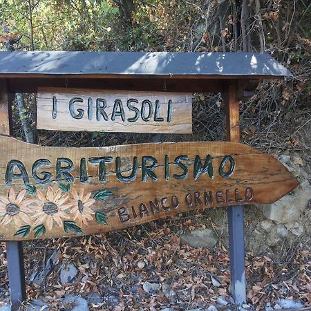 Casa Vacanze I Girasoli Villa Pontedassio Dış mekan fotoğraf