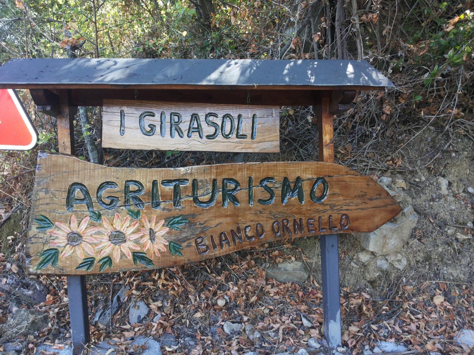 Casa Vacanze I Girasoli Villa Pontedassio Dış mekan fotoğraf